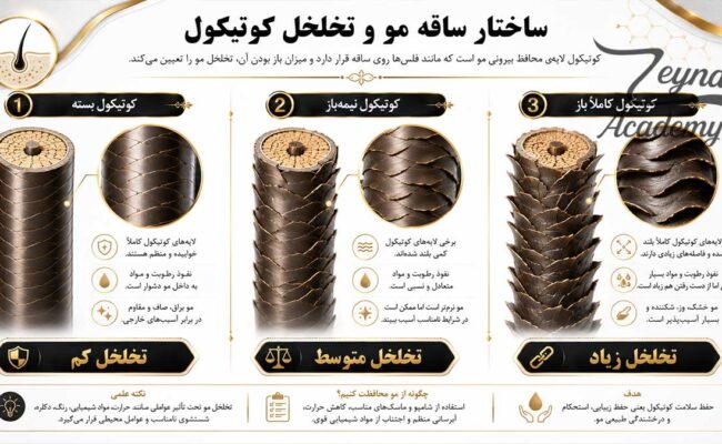 تخلخل مو و انواع تخلخل کم متوسط و زیاد