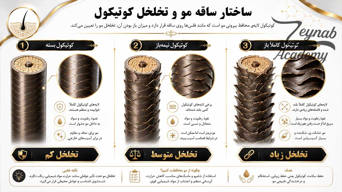 تخلخل مو و انواع تخلخل کم متوسط و زیاد