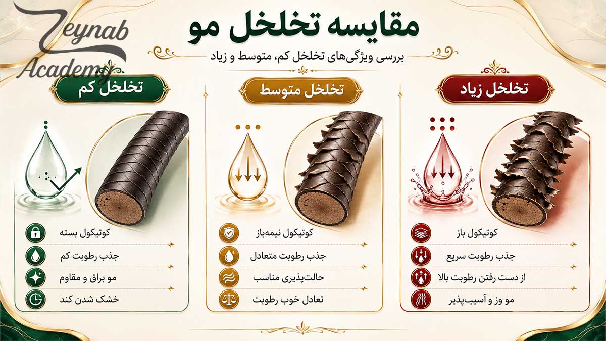 تخلخل مو چیست و انواع تخلخل کم متوسط و زیاد